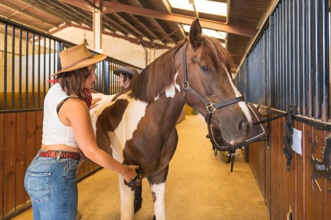 Two female cowboy working cleaning a horse in a stable