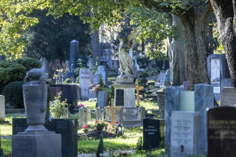 Prague Cemetery Stuttgart in autumn