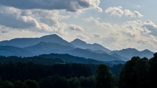 View of the forests in the Alpine foothills in Chiemgau with Hochfelln and Hochgern