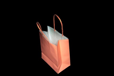 Small pink paper bag