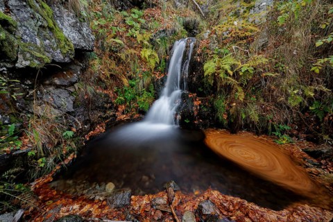 Mountain stream and waterfall in autumn forest