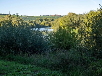 Volkach Main Loop