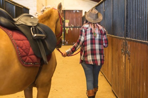 Unrecognizable cowgirl woman strolling with a horse in a stable