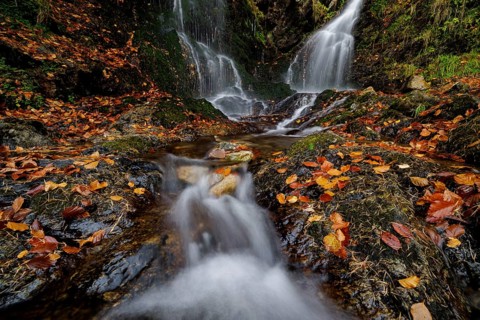 Mountain stream and waterfall in autumn forest