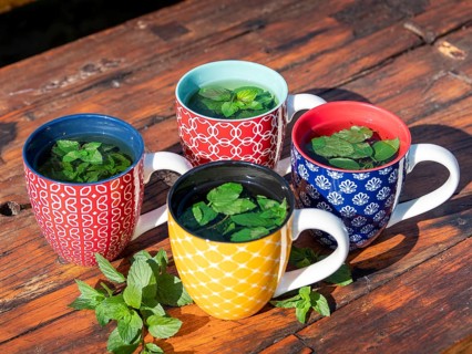 Fresh mint tea in colourful cups