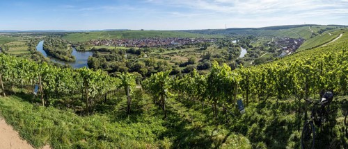 View from Vogelsburg Castle on the Main Loop