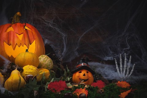 Halloween background with pumpkins