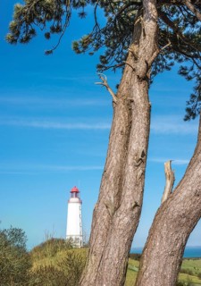 Listed lighthouse or beacon Dornbusch on the Schluckswiek or Schluckwieksberg behind Scots pine