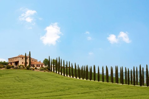 Country estate and cypress avenue