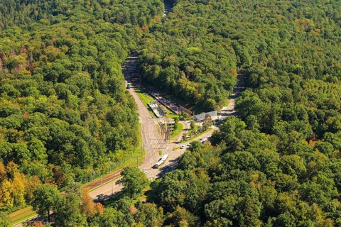 Forest with intersection of Mittlere Filderstrasse and Kirchheimer Strasse