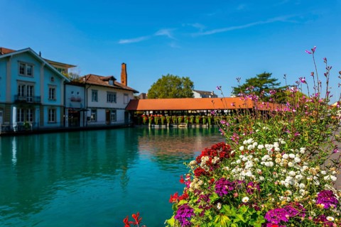 River Aare with Flower in City of Thun and Untere Schleuse Bridge in a Sunny Summer Day in Thun
