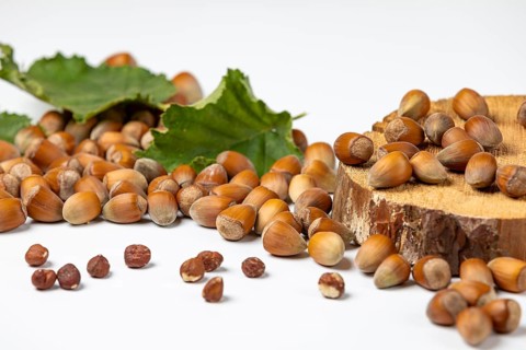 Hazelnuts in and without shell and hazelnut bush leaves