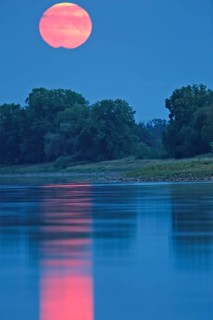Blue Moon from 31.08.2023
