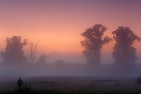 Autumnal foggy atmosphere in the morning in front of sunrise at an oxbow lake in the floodplain forest