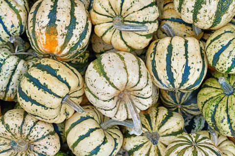 White and green Sweet Dumpling Squashes with stripes