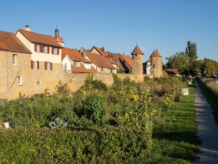 Part of the old town wall and towers