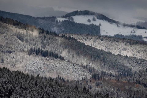Fresh snow in November with a wonderful view of the Black Forest in a cloudy atmosphere