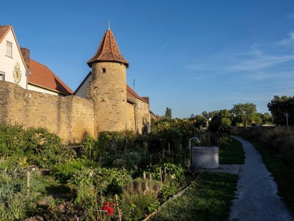 Part of the old town wall and towers