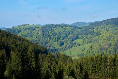 Low mountain landscape