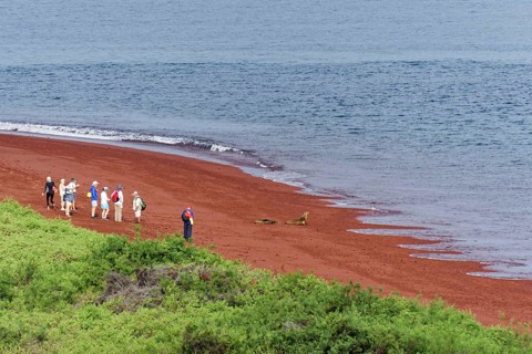 Tourists and Galapagos sea lions