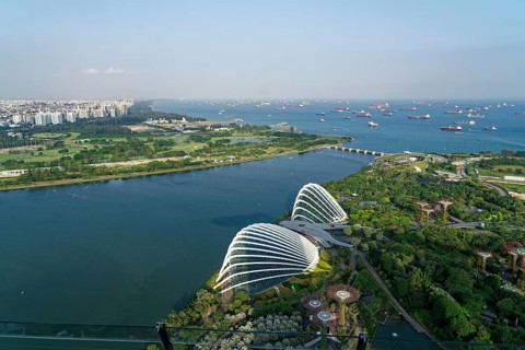 View of the harbour and Gardens by the Bay