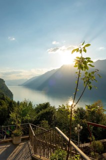 The Historical Grandhotel Giessbach with View over Mountain and Lake Brienz with Sunlight in Giessbach