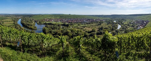 View from Vogelsburg Castle on the Main Loop