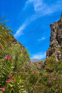 View of Kourtaliotis river and canyon near Preveli beach at Libyan sea