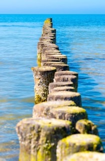 Groynes made of logs protect the beach of Hiddensee Island from erosion and project far into the water