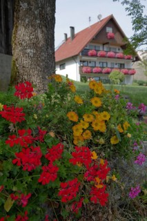 Early autumn in Grosserlach