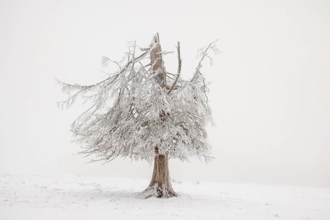 Winter sunset on the mountain with hoarfrost on the trees and fog