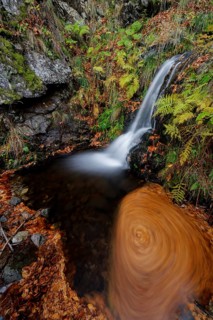 Mountain stream and waterfall in autumn forest