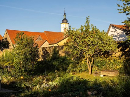 Part of the old town wall