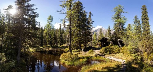 Moor pond on the nature adventure trail through the Rauris primeval forest
