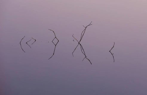 Moorland lake at dusk