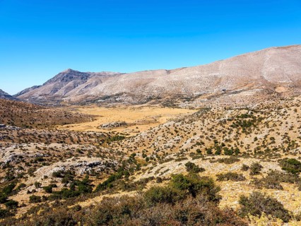 Nida Plain