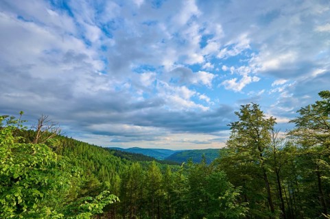 Low mountain landscape