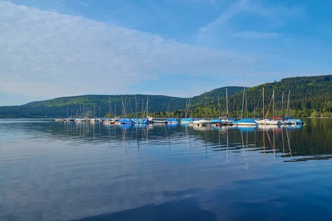 Sailboats