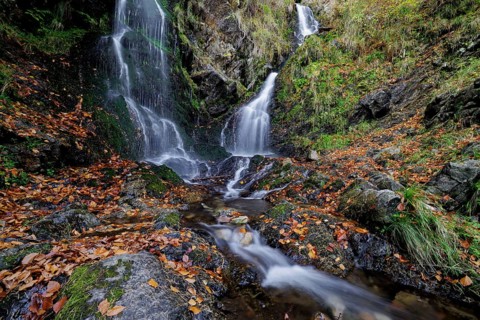 Mountain stream and waterfall in autumn forest