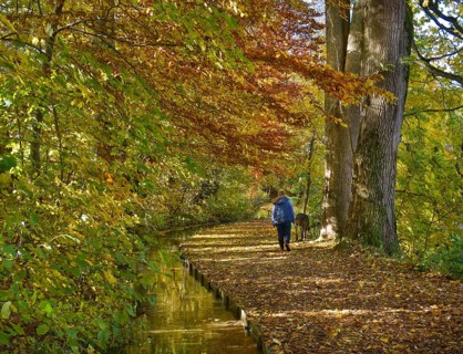 Krummbach autumn walk
