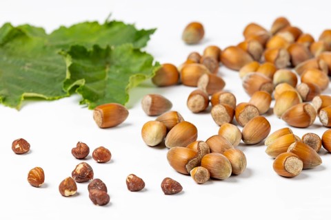Hazelnuts in and without shell