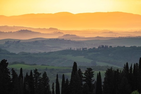 Hilly landscape of the Crete Senesi in the evening light