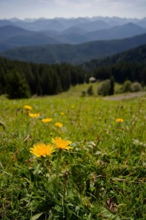 Hiking area Brauneck region