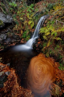 Mountain stream and waterfall in autumn forest