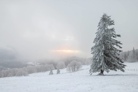 Winter sunset on the mountain with hoarfrost on the trees and fog
