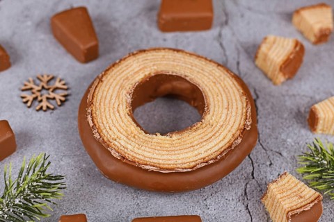 Slice of traditional German layered winter cake called 'Baumkuchen' glazed with chocolate showing thin layers inside of cake surrounded by cake pieces and fir branches