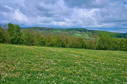 Low mountain landscape