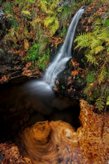 Mountain stream and waterfall in autumn forest