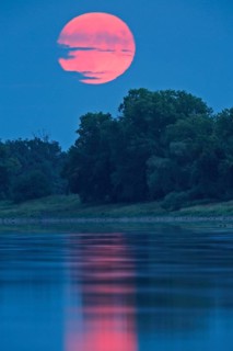 Blue Moon from 31.08.2023