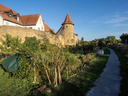 Part of the old town wall and towers